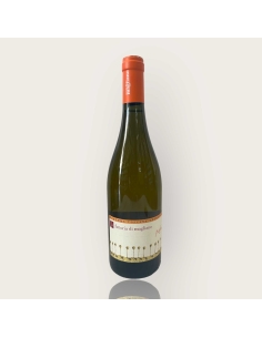 Vermentino | Fattoria di...
