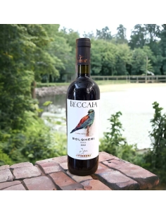 Beccaia vino rosso | Bolgheri
